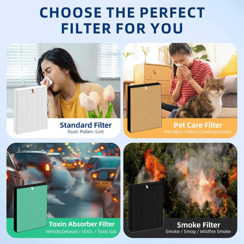 Four types of air purifier filters: standard, pet care, toxin absorber, and smoke filter, with usage examples.