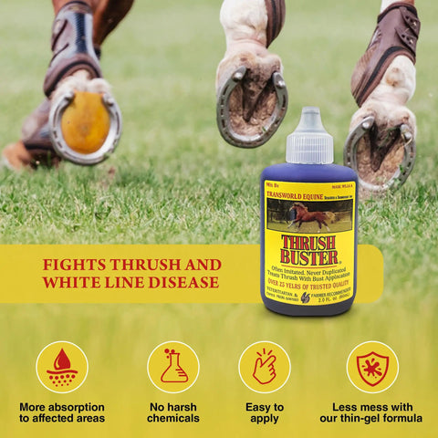 Hoof Care Liquid for Horses Thrush Treatment with Purple Stain Formula Easy to Apply to Keep Hooves Healthy in Wet or Muddy Conditions