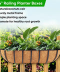 Four Pack 24 Inch Window Box Planters for Balcony Railings and Fences with coco liners and plants installed outdoors