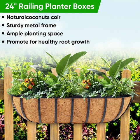 Four Pack 24 Inch Window Box Planters for Balcony Railings and Fences with coco liners and plants installed outdoors