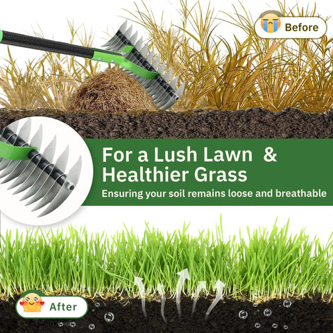 Dual Action Dethatcher Rake With 21 Long Tines On One Side And 55 Inch Adjustable Handle demonstrating thatch removal