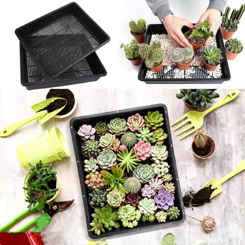 15 X 12 Inch Seed Starter Trays With Mesh Bottom For Germination Microgreens Sprouts Hydroponics And Wheatgrass 16 Pack Garden Grow Trays Kit For At Home Gardeners