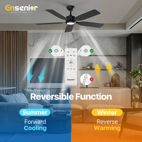 52 Inch Ceiling Fan With Light And Remote, Whisper Quiet DC Motor, Reversible For Year Round Comfort, 6 Speeds, and Reversible Functions Shown in a Living Room
