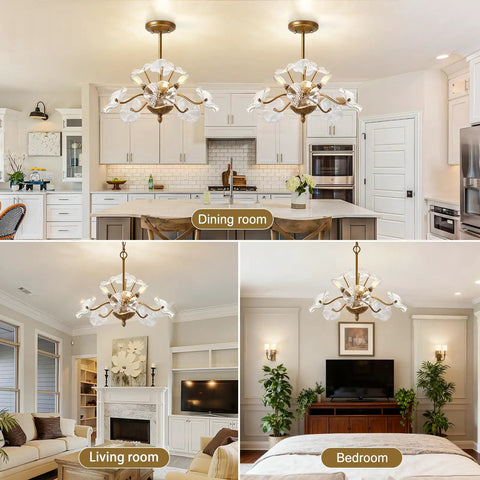 Modern Gold Chandelier Vintage Brass Flower Glass Pendant Light Mid Century Ceiling Lamp in dining room, living room, and bedroom settings.