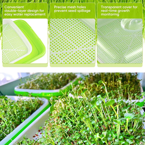 12 Pack Green Seed Sprouter Trays With Lid For Soil Free Germination Indoors Outdoors No Fuss Fodder Sprouting Nursery Trays With Planting Paper And Labels shown with seedlings sprouting and detailed tray features.