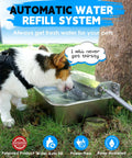 Heavy Duty Automatic Dog Water Dispenser And 2 Gallon Tough As Nails Stainless Steel Pet Water Bowl for yard with dog drinking water.