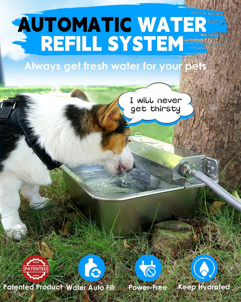Heavy Duty Automatic Dog Water Dispenser And 2 Gallon Tough As Nails Stainless Steel Pet Water Bowl for yard with dog drinking water.