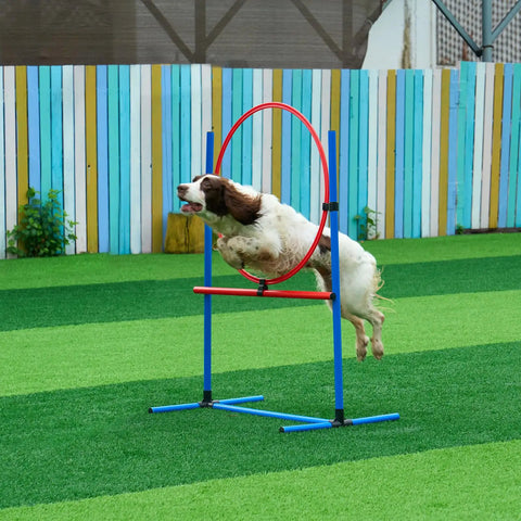 Dog jumping through hoop from Dog Agility Training Gear Set With Adjustable Hurdles And Extended Tunnel, 6 Weave Poles, Jump Ring