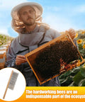 Beekeeper holding a honeycomb with inset of a Beekeeping Brush With Natural Horsehair And Wooden Handle For Hive Cleaning.
