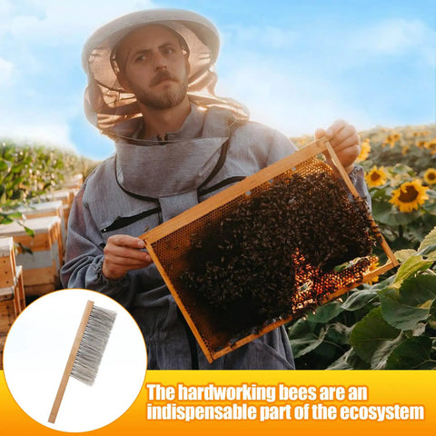 Beekeeper holding a honeycomb with inset of a Beekeeping Brush With Natural Horsehair And Wooden Handle For Hive Cleaning.