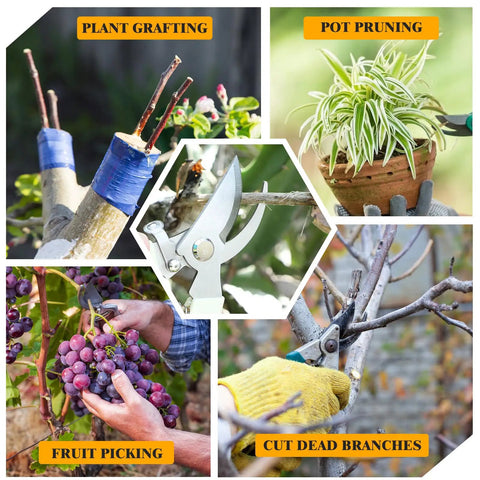 20 Piece Pruning Shears For Gardening Set With Durable Stainless Steel Blades And Comfortable PP Handles Heavy Duty Bypass Pruners in use for grafting, pruning, fruit picking, and branch cutting.