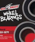 Wheel Bearing Kit For Harley And Kawasaki With 2 Ball Bearings, Double Lip TC Seals, Stainless Garter Spring Grease, SRI 2 Lubricant