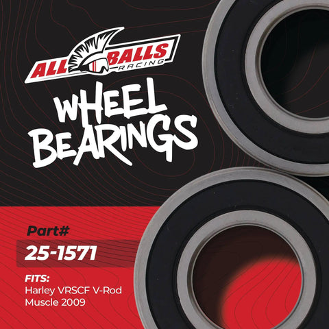 Wheel Bearing Kit For Harley And Kawasaki With 2 Ball Bearings, Double Lip TC Seals, Stainless Garter Spring Grease, SRI 2 Lubricant