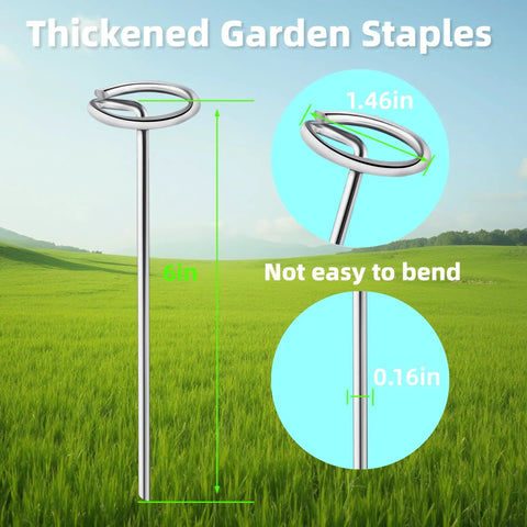Heavy Duty 6 Inch Galvanized Landscape Stakes With Circle Top Pins 8 Gauge Zero Point Sixteen Inch Thick Ground Anchors