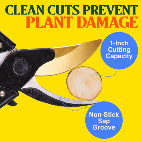 Pro Grade 8.75 Inch Titanium Bypass Pruning Shears For Gardening cutting branch, highlighting non-stick sap groove and 1-inch capacity.