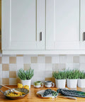 White kitchen cabinets with oil rubbed bronze handles, showcasing a modern look with potted plants and cooking items on the counter.