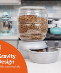 Hassle Free Automatic Cat And Dog Gravity Food Feeder Dispenser With Easy Snap Top Lid Holds Eighteen Pound Kibble In Pearl Peacock Blue