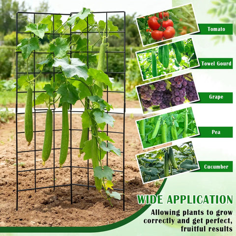 Foldable Two Panel Garden Trellis for Climbing Plants, Easy Setup No Fuss, Space Saving, Raised Bed Vegetable Support with 59 Inch Span, Perfect for Beans Peas Grapes Cucumbers Fruits and Flowers shown with growing cucumbers outdoors.