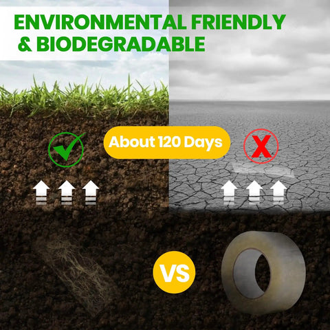 Comparison of biodegradable kraft paper tape degrading vs non-biodegradable, highlighting eco-friendly benefits for moving and shipping