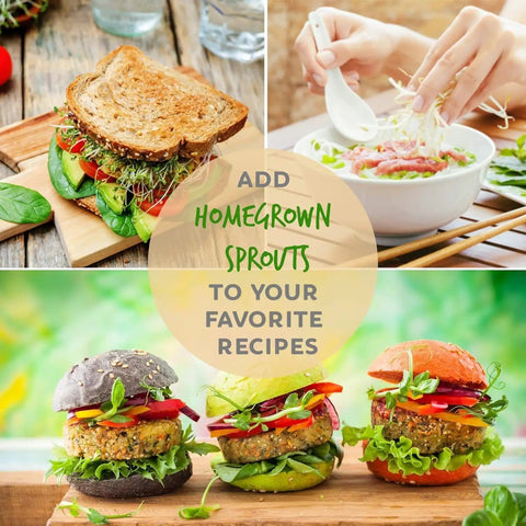 Collage of dishes using Organic Sprouting Seed Assortment Pack For Microgreens And Sprouts, 12 Pre-Measured Packs Featuring Broccoli