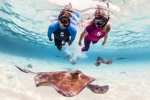 Two snorkelers wearing Spectra Dry Snorkel With Purge Valve and Quick Connect Clip, swimming over stingrays in clear water.