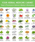 Dope Herbal Medicine Seed Pack With 36 Heirloom Non GMO Healing Herbs For Quick Planting chart showing various herb images and names.