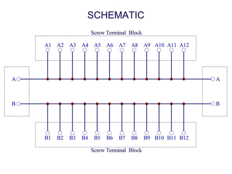Schematic diagram of Two Row 2x12 Position Screw Terminal Block Distribution Module 30A 300V with A and B channels.
