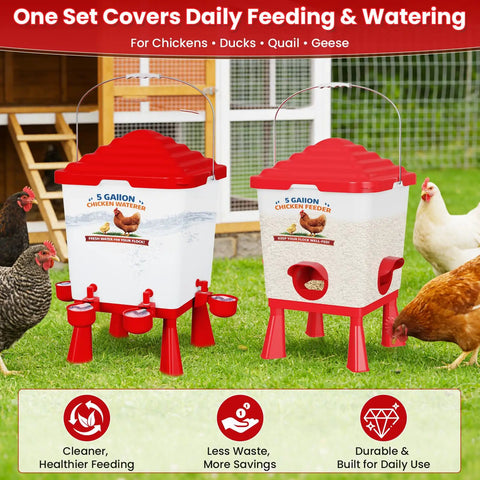All In One Chicken Feeder And Waterer Set 5 Gallon Automatic Waterer With Cups No Waste 40 Lb Feeder for backyard flocks in coop.