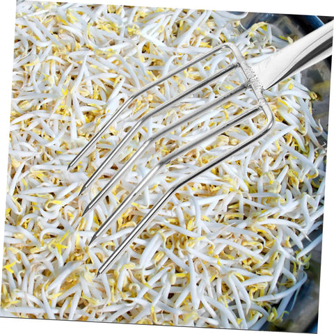 Stainless Steel Bean Sprout Fork Garden Trowel Small Digging Spade For Pot Plant Transplants Durable Garden Tool on bean sprouts