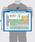 Person holding Laminated 18x24 Periodic Table Poster For Kids, Kid Friendly Chemistry Chart For Classroom Or Home, Tear Resistant 3 Mil Lamination.