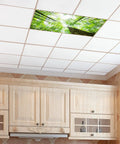 2x4 Fluorescent Light Covers Backlit Film For Classrooms And Offices Easy Install Brighten Your Space Giant Trees design on ceiling