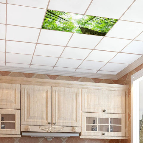2x4 Fluorescent Light Covers Backlit Film For Classrooms And Offices Easy Install Brighten Your Space Giant Trees design on ceiling
