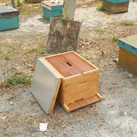 Beekeeping Beehive 3-Piece Parts Kit With Top Cover, Inner Cover, And Bottom Board in outdoor apiary setting