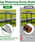 Comparison of Heavy Duty Galvanized Landscape Staples 6 Inch U Shaped sod pins and rusted alternatives in grass setup.
