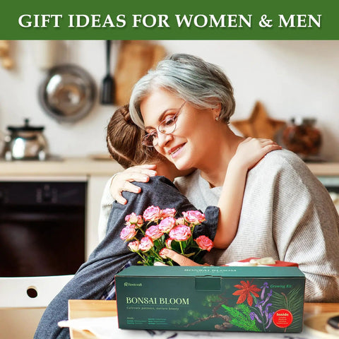 Five Vibrant Bonsai Kit For Beginners With Seeds Soils Pots And Tools includes gift idea for women and men