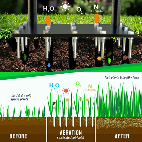 Diagram showing aeration benefits with Heavy Duty Lawn Aerator Spike Tool With 15 Thick Iron Spikes 36 Inch Manual Ground Aeration.