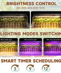Full Spectrum Seed Starter Kit With Grow Light 72 Cell Tray 5 Dimmable Brightness Levels And Timer Indoor Plant Starter