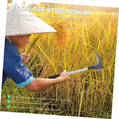 Person using a stainless steel sickle to harvest rice, showing ergonomic handle design in a rice field.