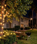 200 LED Warm White Christmas Lights On 66ft Green Wire UL Certified Commercial Grade illuminating tree in garden
