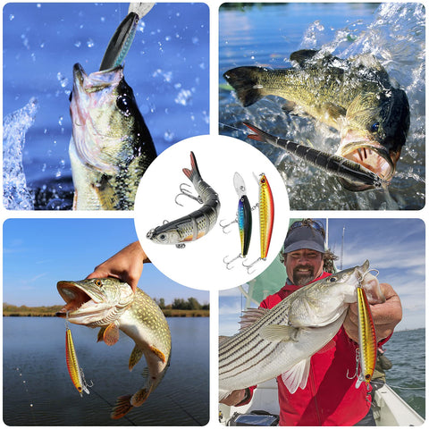 All In One Fishing Lures Tackle Box Kit With Animated Lure Crankbaits Spinnerbaits Soft Plastic Worms Topwater Lures Hooks