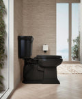 Black toilet with ReadyLatch Elongated Toilet Seat With Slow Close Quiet Lid in modern bathroom, view from side