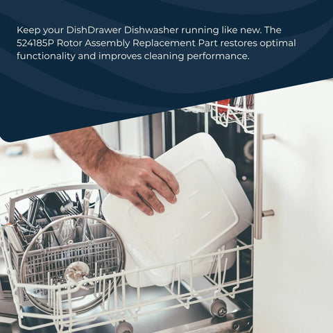 Person placing a dish in an open drawer of a Fisher Paykel dishwasher featuring Rotor Assembly Replacement For DishDrawer Dishwashers 524285P Motor Rotor Kit OEM Authorized Part For Fisher Paykel No Fuss Install Durable Repair High Quality Replacement Rotor enhancing performance.