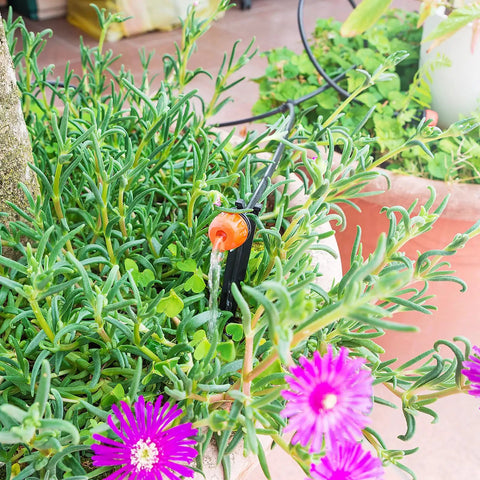 100 Pack Drip Irrigation Stakes For One Quarter Inch Tubing in use with plants in a garden pot