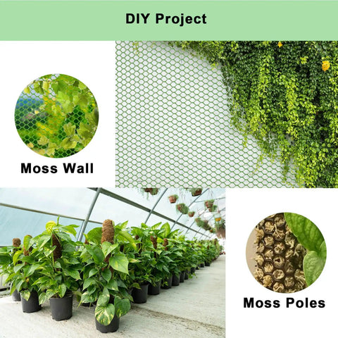 DIY project using Black Plastic Wire Mesh Roll 15.7In By 10Ft Chicken Wire Fence for moss wall and poles with plants