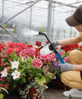 Gardener using Bulb Duster Sprayer For Rapid Even Pollination Of Tomatoes Veggies And Fruit Trees During Bloom in greenhouse flowers