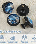 Killer Beach Starfish Crystal Glass Cabinet Knobs With Heavy Duty Stainless Pulls Super Durable Drawer Hardware For Kitchen Cabinets Dressers And Cupboards Four Pack Fresh Upgrade - ABS knobs with ocean design.