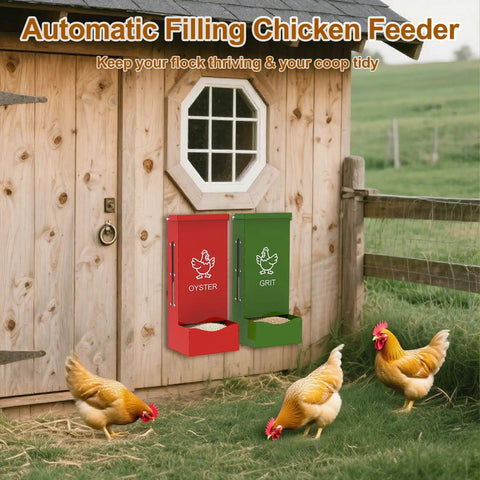 Heavy Duty Metal Chicken Feeder And Oyster Shell Dispenser, hanging near chickens, outdoor coop setup, durable red and green hoppers.