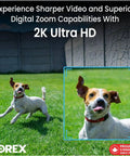 Dog running in backyard, showcasing 2K Ultra HD quality video capture by Indoor WiFi Security Camera With Pan And Tilt 4MP HD Sensor 360 Degree Coverage Easy Setup Person Detection Two Way Talk Infrared Night Vision No Monthly Fee Preinstalled 16GB MicroSD Card