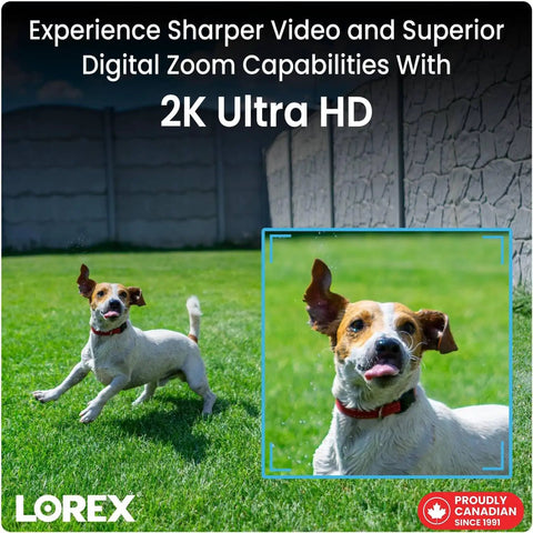 Dog running in backyard, showcasing 2K Ultra HD quality video capture by Indoor WiFi Security Camera With Pan And Tilt 4MP HD Sensor 360 Degree Coverage Easy Setup Person Detection Two Way Talk Infrared Night Vision No Monthly Fee Preinstalled 16GB MicroSD Card