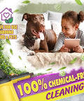 No Stress Deep Clean Handheld Steam Cleaner With 1200 Watt Fast Heat and Ten Tough Attachments for safe cleaning around kids and pets.